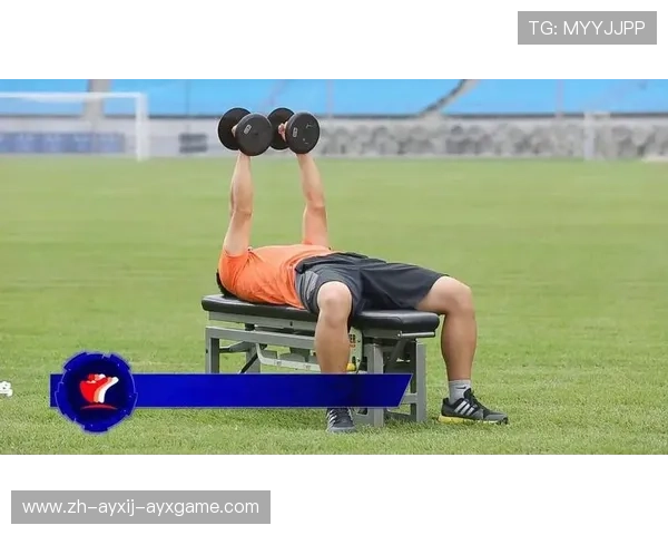 飞鸟训练全攻略：提升胸肌力量与塑形技巧