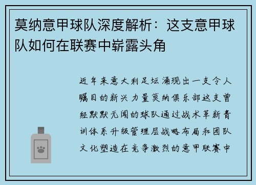 莫纳意甲球队深度解析：这支意甲球队如何在联赛中崭露头角